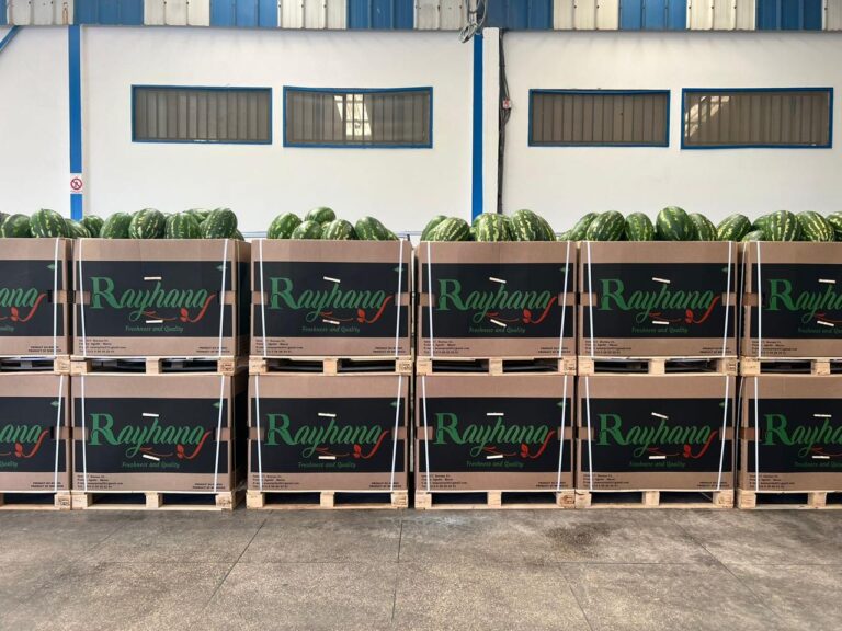 watermelons 2