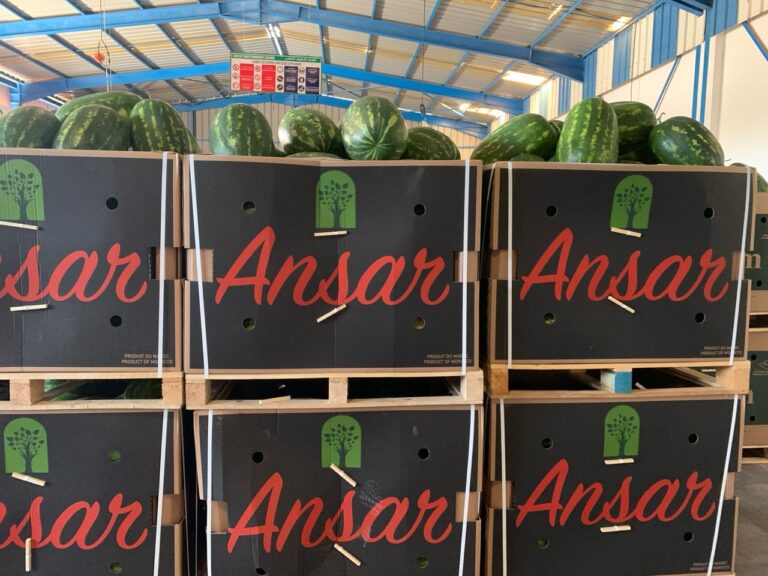 watermelons Ansar 3