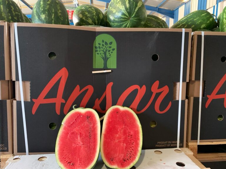 watermelons Ansar 4