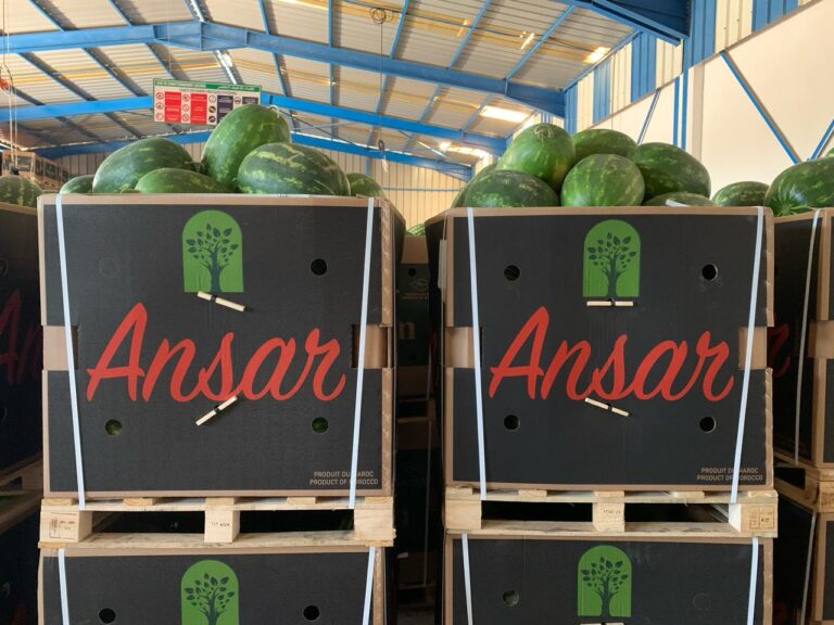 watermelons Ansar