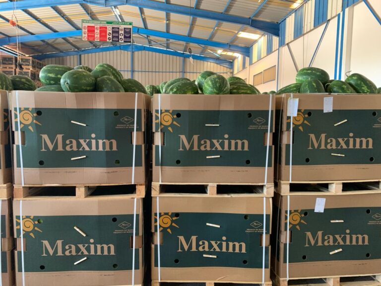 watermelons Maxim 5