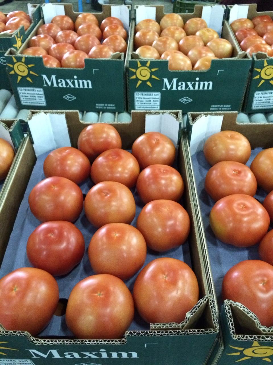 tomatoes ansar prim (3)