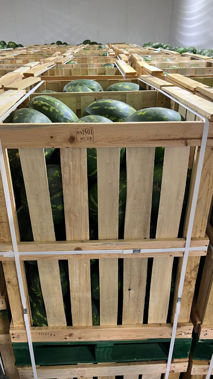 ansar prim watermelon 5