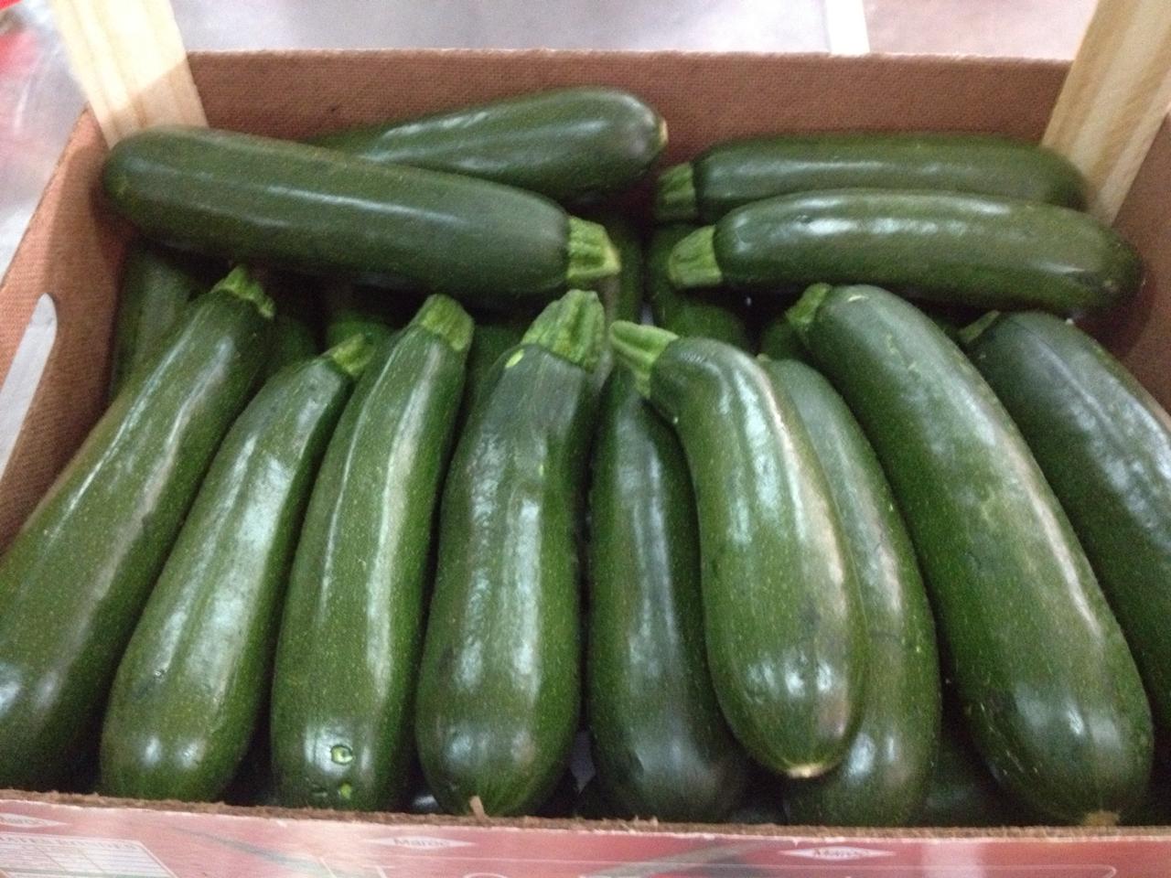 courgette